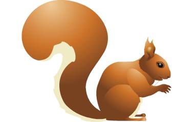 Red Squirrel Animated Logo - Red Squirrel Animation
