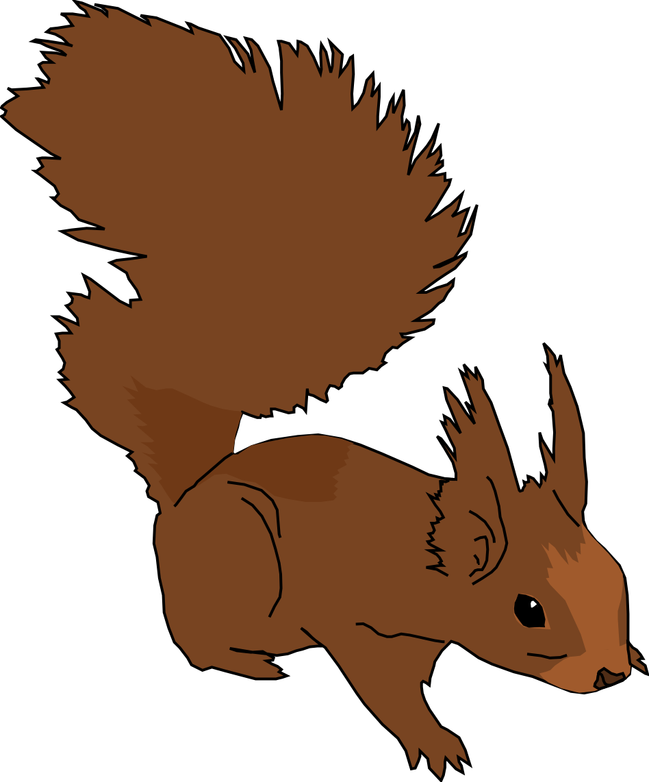 Red Squirrel Animated Logo - Christmas squirrel graphic free library - RR collections