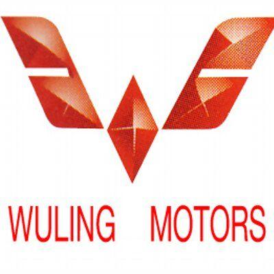 Wuling Logo - PVA WuLing /1dlm48 Motors Show