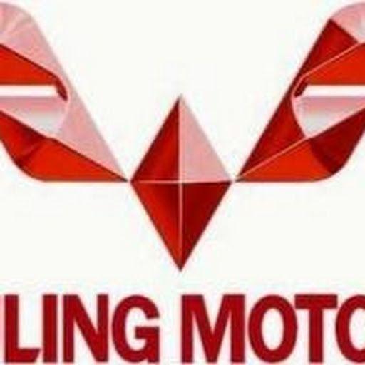 Wuling Logo - Price list Mobil Wuling 2018