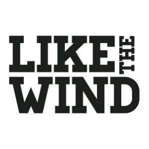 Wind Mountain Logo - Like The Wind Mountain Festival