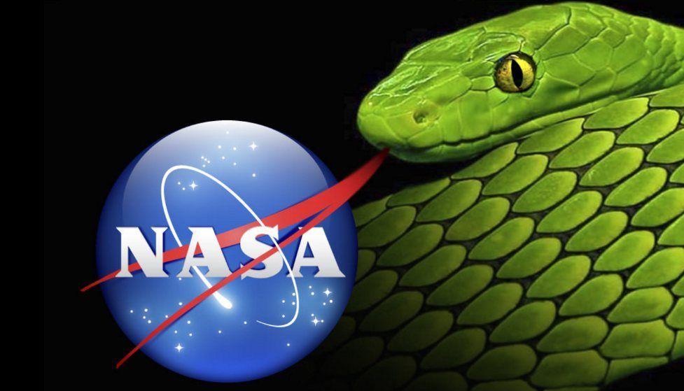 NASA Snake Logo - Is the worm finally turning on NASA's unpopular meatball logo?