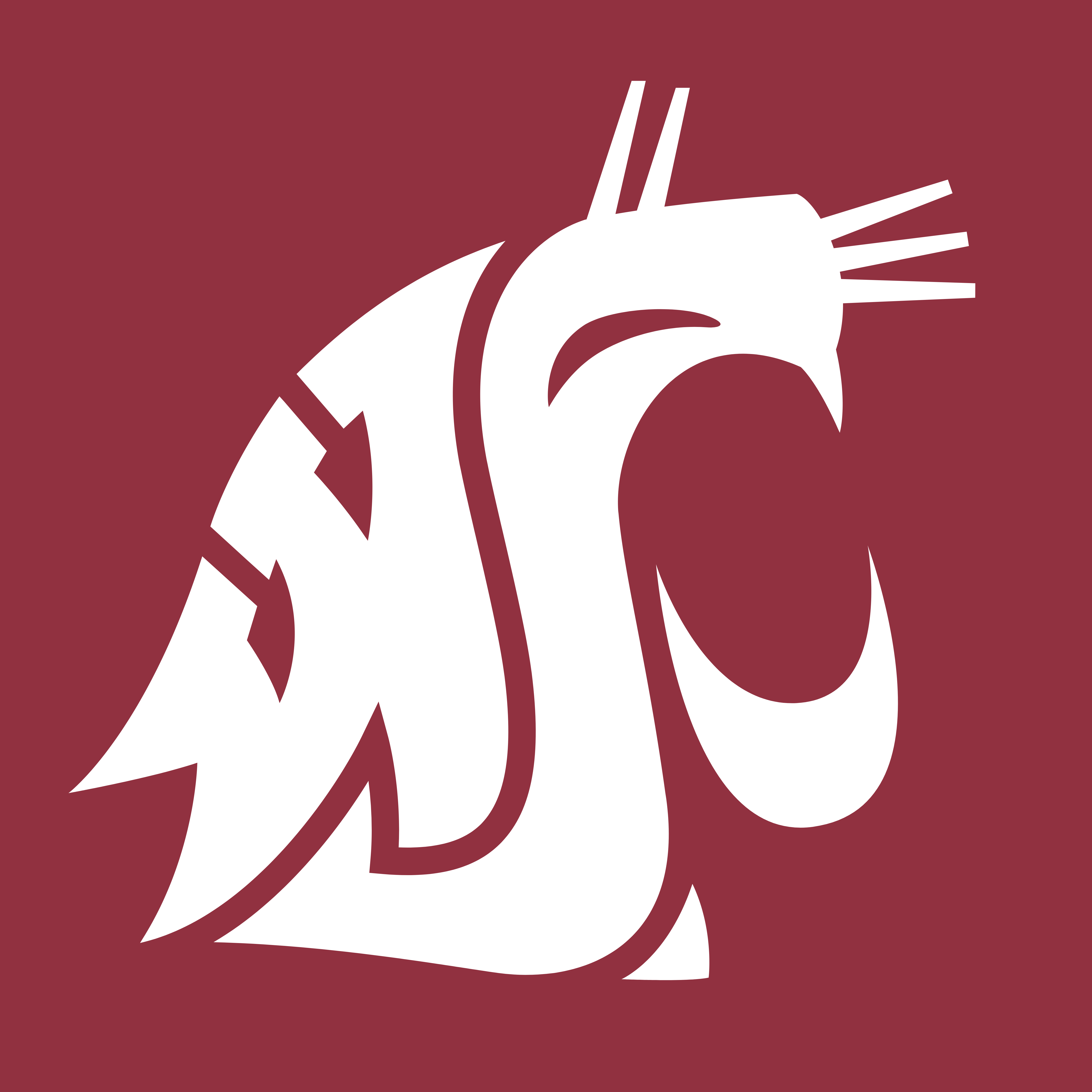 Washington State New Logo - Washington State Cougars – Logos Download