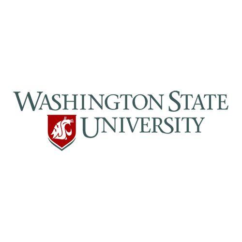 Washington State New Logo - WASHINGTON STATE UNIVERSITY