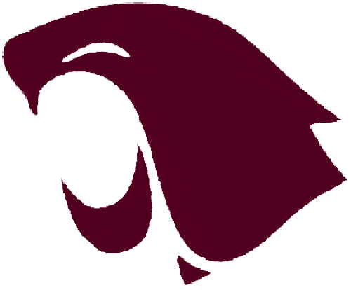 Washington State New Logo - Washington State Cougars Primary Logo Division I (u Z) (NCAA