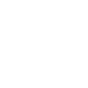 Two -Face Logo - Two Associates | Digital Creative Agency