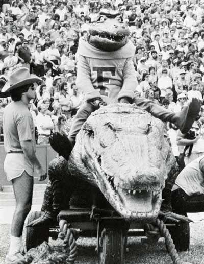 Albert the Alligator Logo - Old photo of the leather Albert the Alligator riding in to
