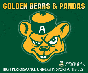Gold Bear Logo - Tennis | Golden Bears and Pandas Athletics