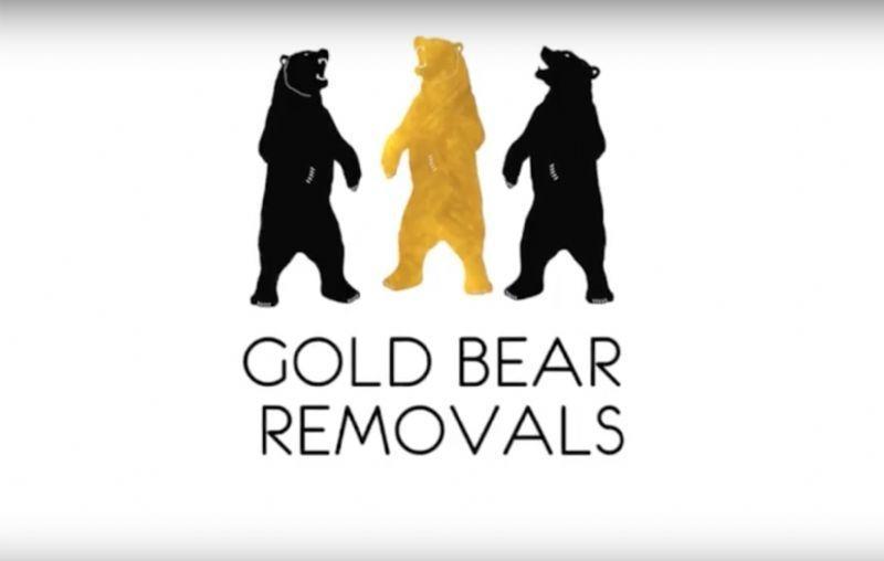 Gold Bear Logo - Gold Bear Removals Brighton, Brighton review. Office Removals