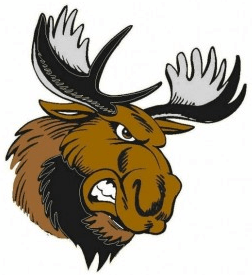 Moose Sports Logo - Maine Moose