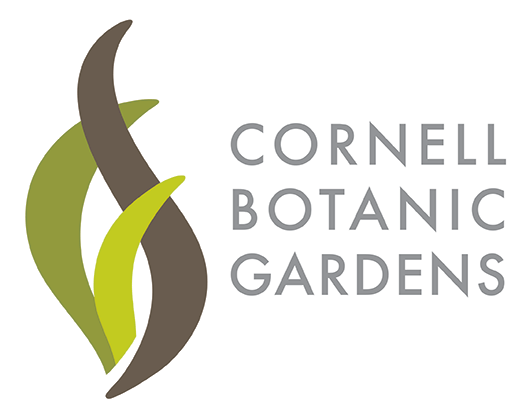 Flower Garden Logo - Young Flower Garden | Cornell Botanic Gardens