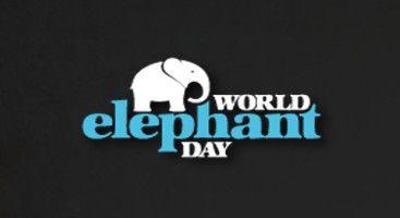 Elephant and World Logo - World Elephant Day – Muddy Faces