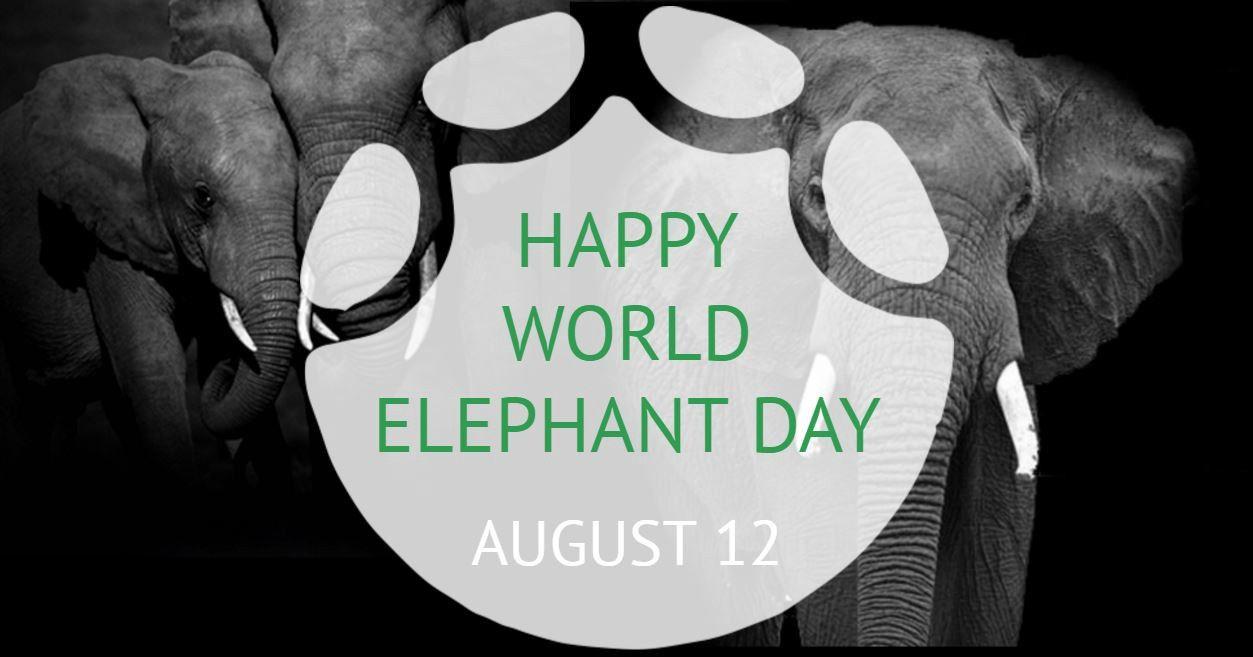 Elephant and World Logo - Zoohackathon: World Elephant Day 2017 – U.S. Department of State ...