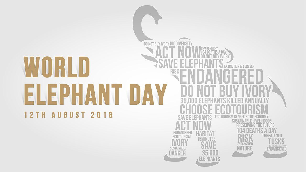 Elephant and World Logo - Elewana Collection Elewana Collection celebrates World