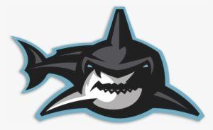 Cool Shark Logo - Sj Sharks Logos Jose Sharks Png Transparent PNG