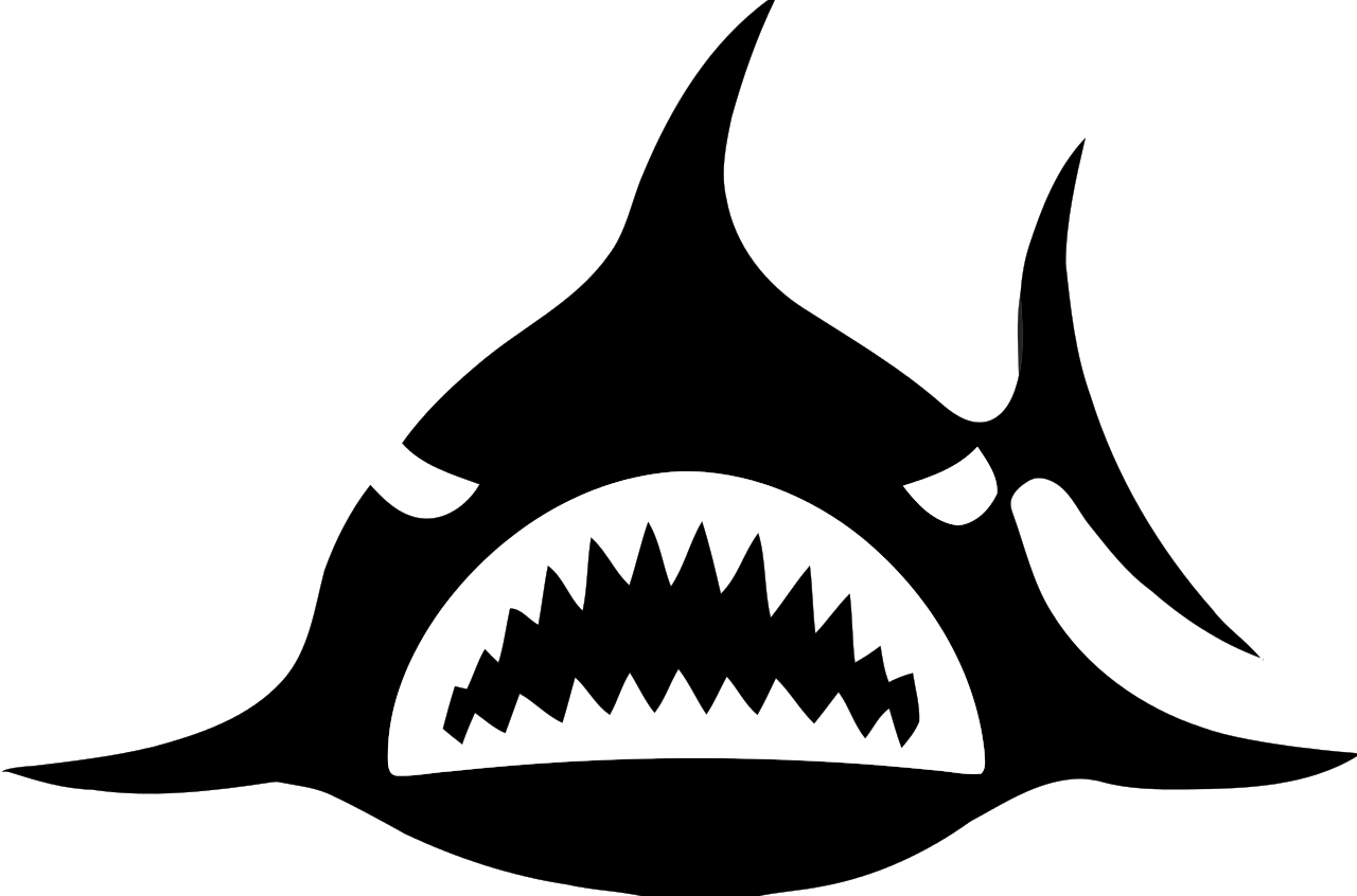 Cool Shark Logo - Shark Attacks - by Karin Knapik [Infographic]