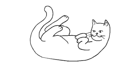 Transperent Ripndip Cat Logo - Rip N Dip