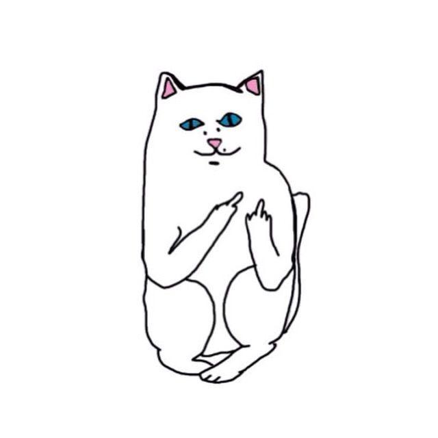 Transperent Ripndip Cat Logo - Lord Nermal | Rip 'N' Dip | Pinterest