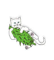 Transperent Ripndip Cat Logo - 1865 Rip N Dip Cat ripndip Middle Finger , 9x5 cm decal sticker ...