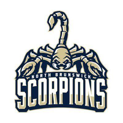 Scorpion Sports Logo - Image result for scorpion sports logo. D&D. Sports logo, Logos