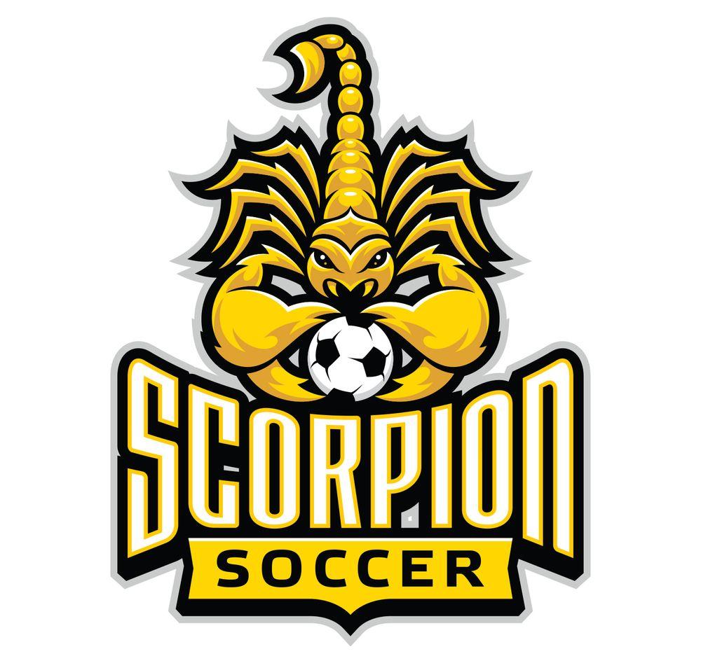 Scorpion Sports Logo - GLITSCHKA STUDIOS