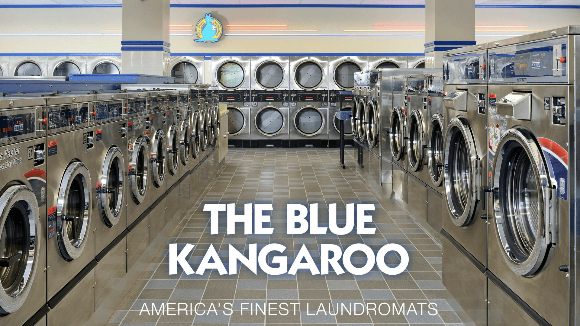 Blue Kangaroo Laundromat Logo - Blue Kangaroo Laundromat - Chicagoland Laundromat near me