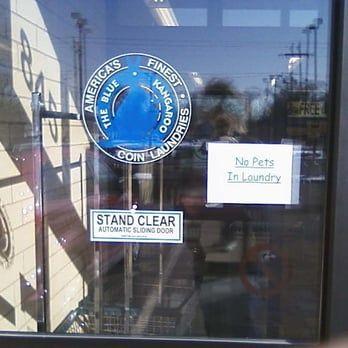 Blue Kangaroo Laundromat Logo - Blue Kangaroo - Laundry Services - 845 W Illinois Ave, Aurora, IL ...