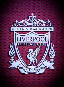 Liverpool Logo - Liverpool Fc Art | Fine Art America