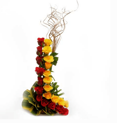 Red Green and Yellow Flower Logo - Red, Yellow Royal Roses, Rs 750 /piece, Green House Florist