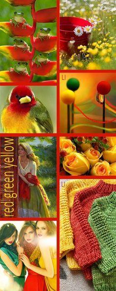 Red Green and Yellow Flower Logo - Best Red, Green & Yellow image. Red green yellow
