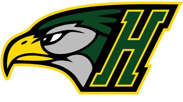 Green Hawk Logo - Newmarket Baseball Association's minor Hawks follow senior team's ...