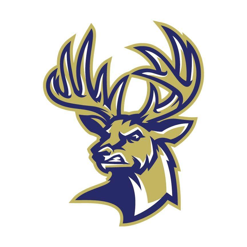 Deer Sports Logo - Berkeley Stags Logo. Bucks Stags Logos. Logos, Sports