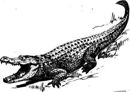 Black Alligator Logo - Black and White Alligator Logo | Add to Web/Blog/Forum Download ...