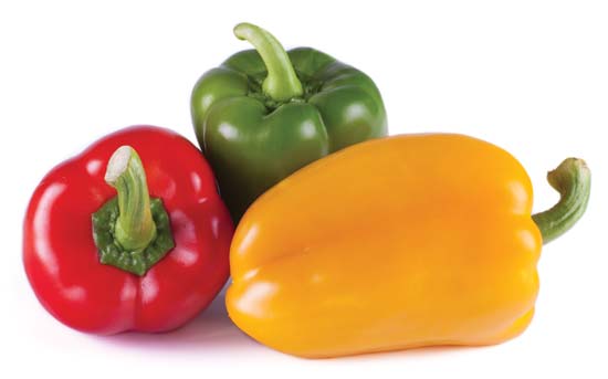 Red and Yellow Bell Logo - Bell pepper | plant cultivar, Capsicum annuum | Britannica.com