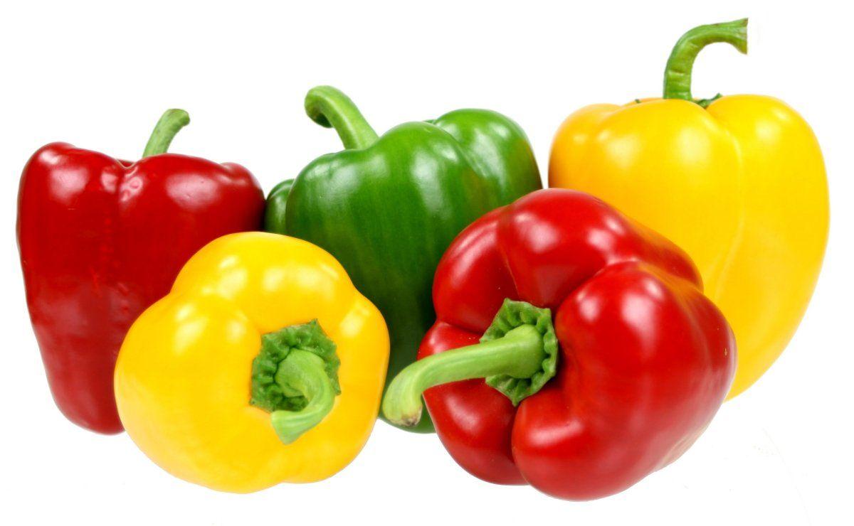 Red and Yellow Bell Logo - Bell Peppers, Green & Yellow