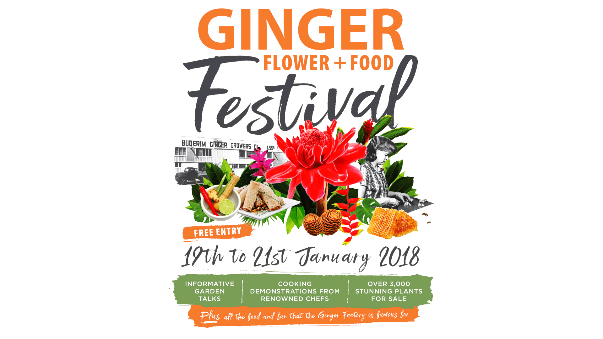 Famous Flower Logo - Ginger-Flower-Food-Festival-Logo-3 - The Ginger Factory