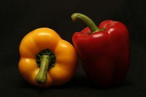 Red and Yellow Bell Logo - Can Dogs Eat Bell Peppers? (Red, Green or Yellow) - Animalso