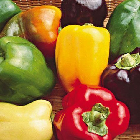Red and Yellow Bell Logo - Bell Peppers: Differences Between Green, Yellow, Orange, and Red ...