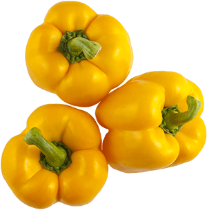 Red and Yellow Bell Logo - Traditional Series Peppers | Red Sun Farms