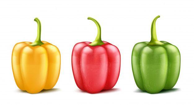 Red and Yellow Bell Logo - Bell Pepper Vectors, Photos and PSD files | Free Download