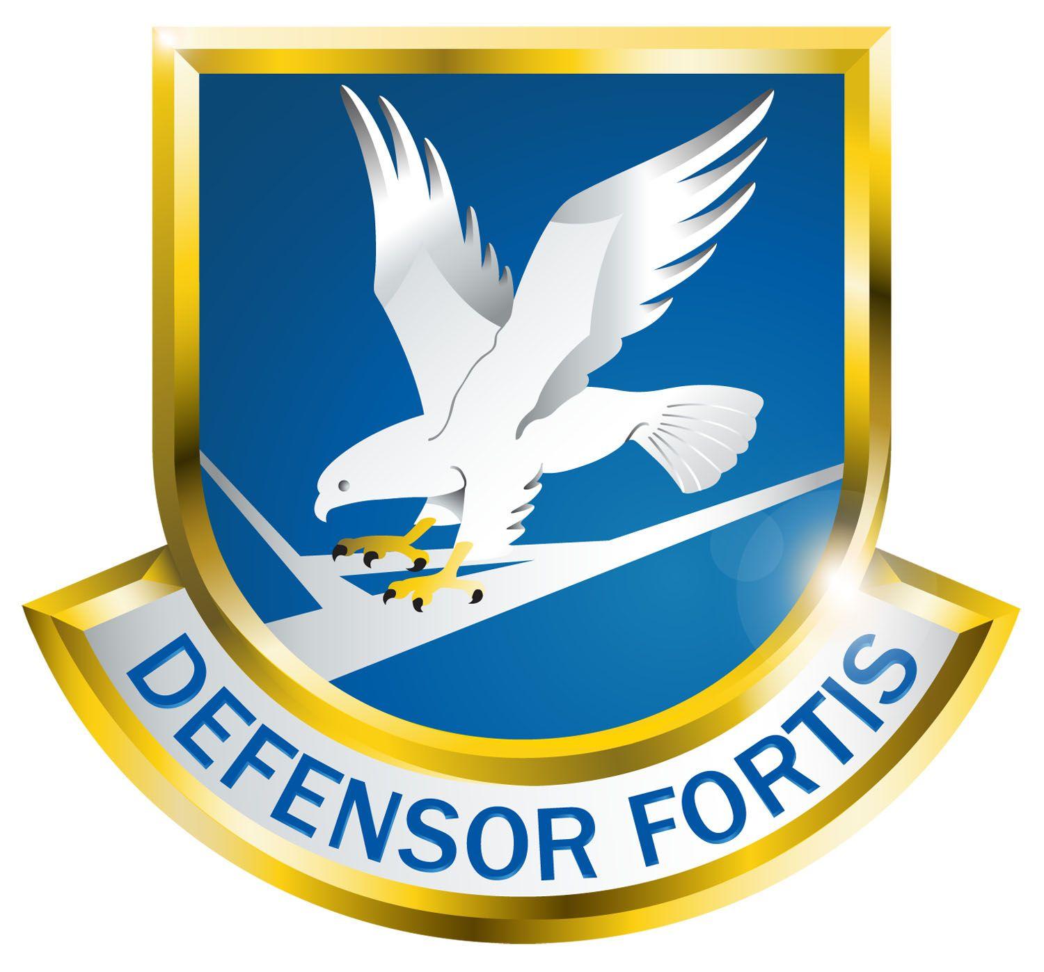 Air Force Security Forces Logo - 710th Security Forces Squadron > 310th Space Wing > Display