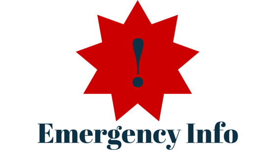 In Case of Emergency Logo - What to do in case of Emergency