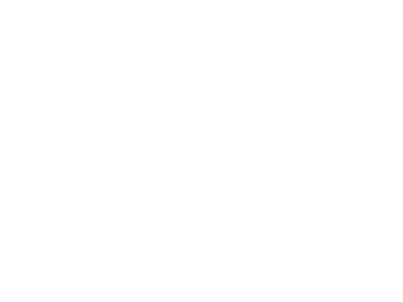 White Phone Logo - The Light Phone