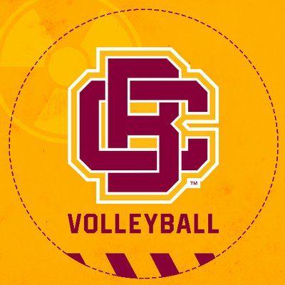 Red and Yellow Volleyball Logo - 