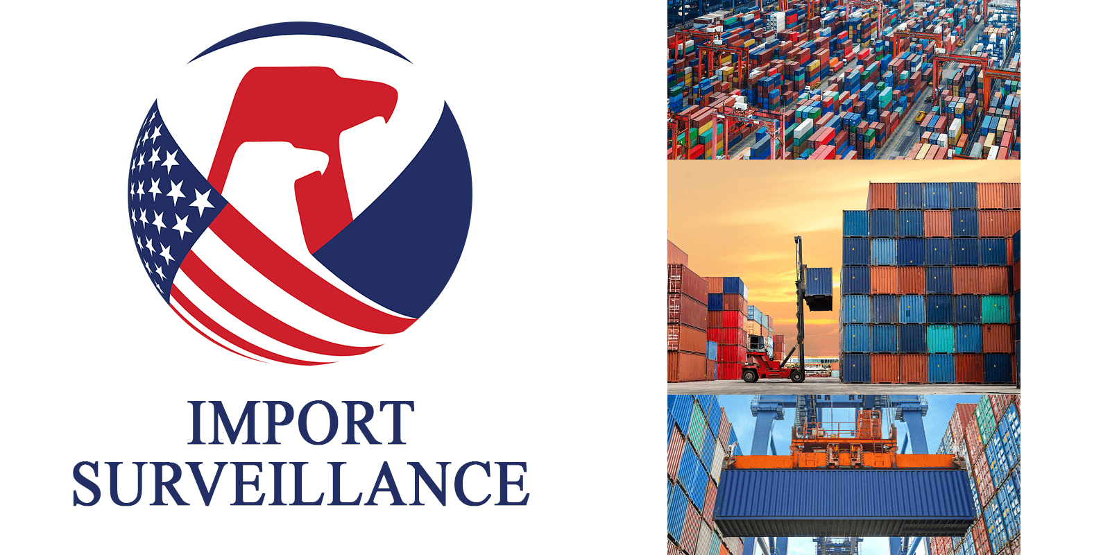 CPSC Logo - Import Surveillance