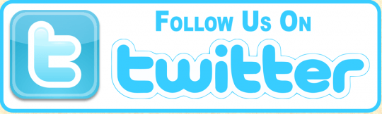 Follow Us On Twitter Logo - Optimus 5 Search - Image - follow us on twitter logo