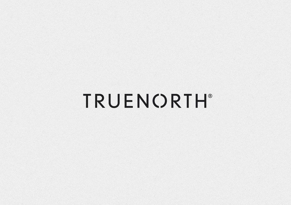 True North Logo - Truenorth One