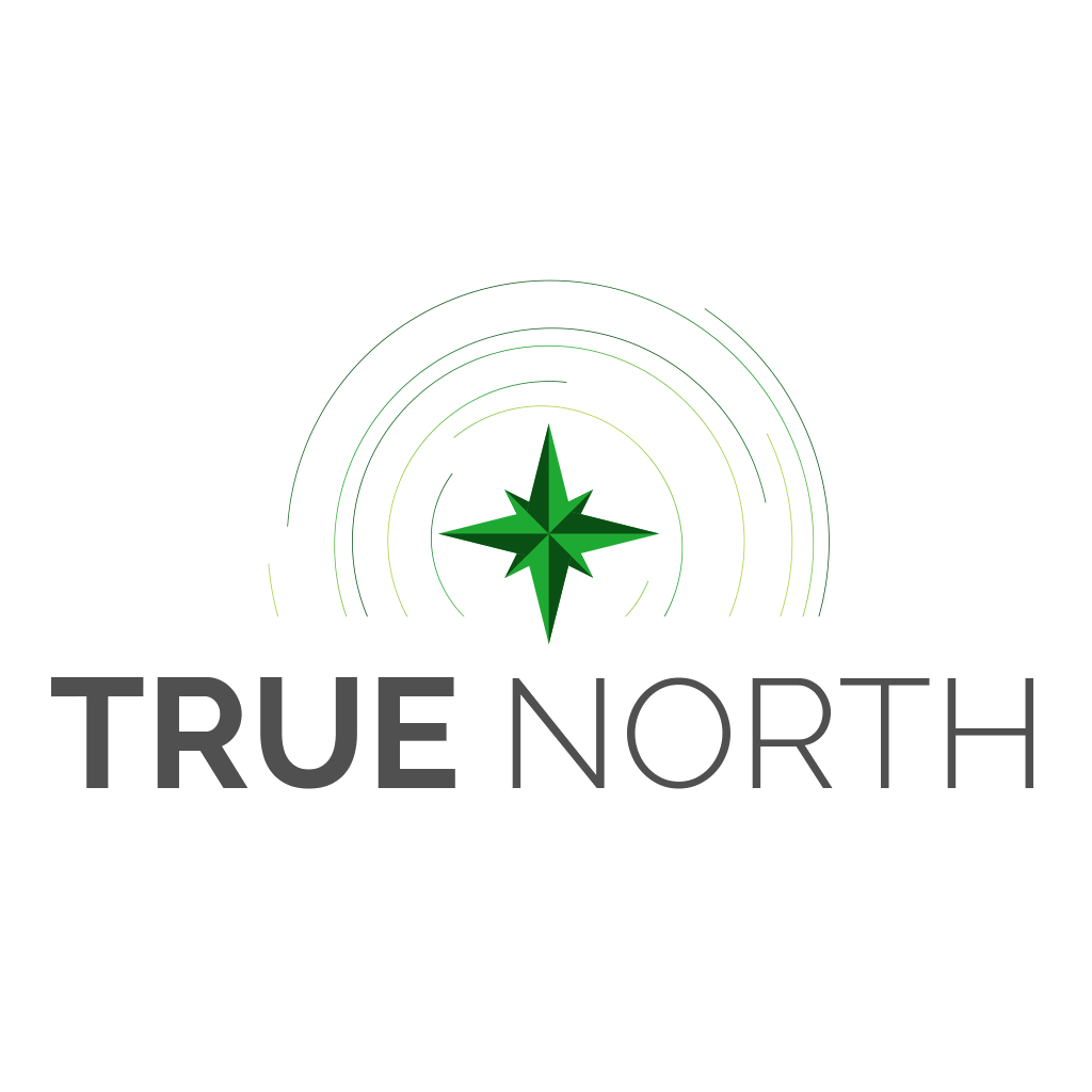 True North Logo - TrueNorth Healthcare