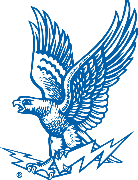 Air Force Falcons Logo - Air Force Falcons Alternate Logo Division I (a C) (NCAA A C