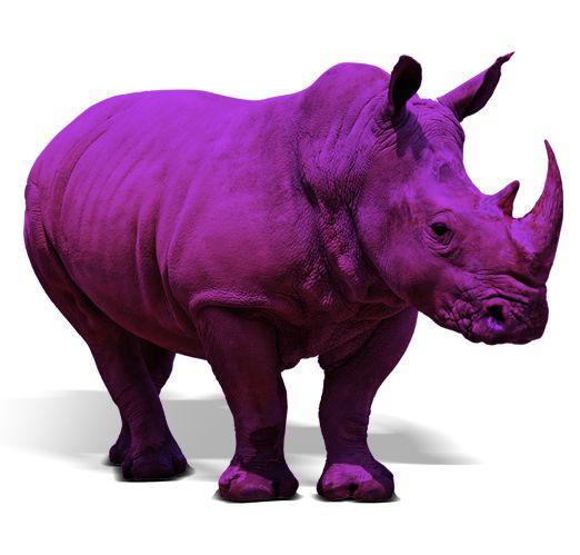 Purple Rhino Logo - SAY HELLO | Purple Rhino Marketing